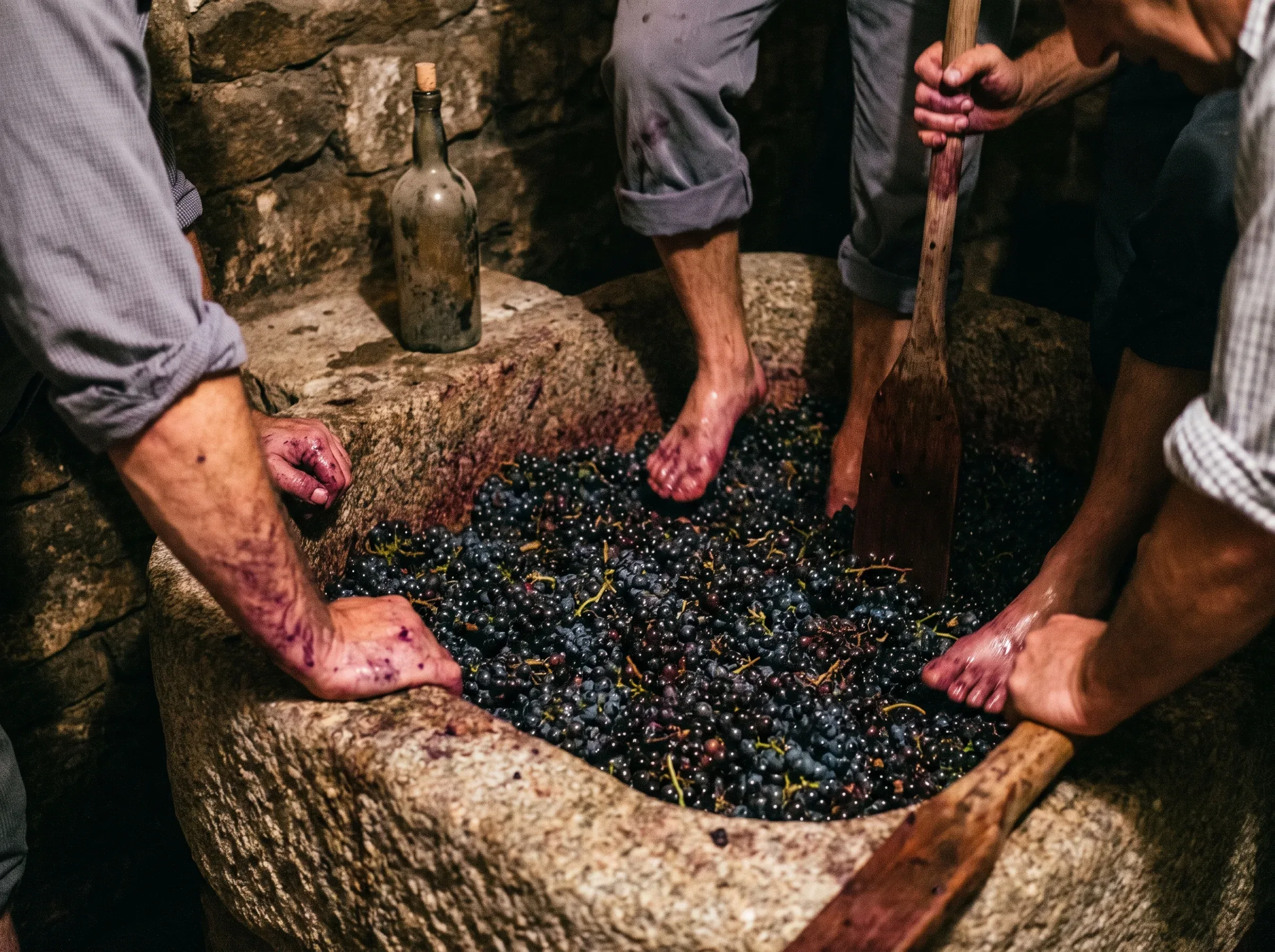 Hands and feet working the grapes in a traditional Douro lagar